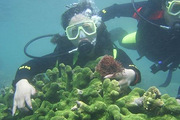Nassimo ThilaǱˮ