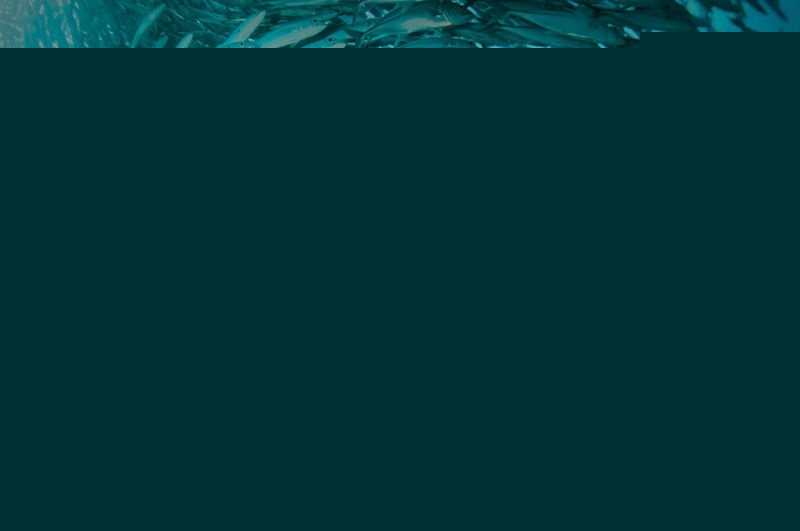 ̬ϵ-ɵ
